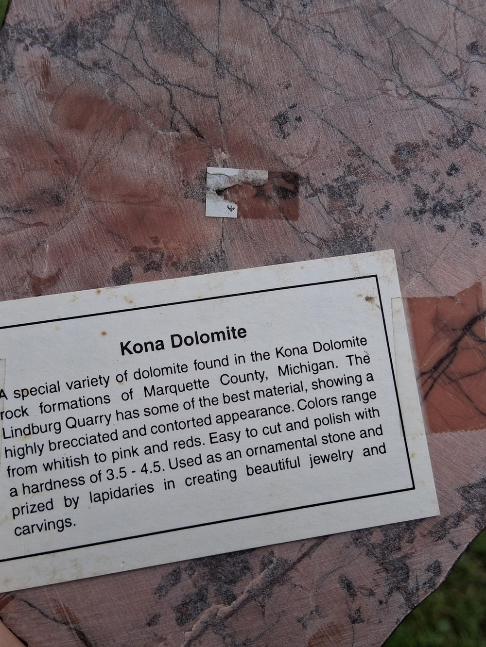 Kona Dolomite Polished Slab Display 8.5" Stone Rock Specimen Michigan - Picture 6 of 10
